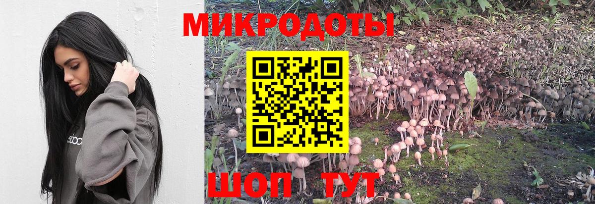 Жигулёвск  Галлюциногенные грибы мицелий  Вход с VPN 